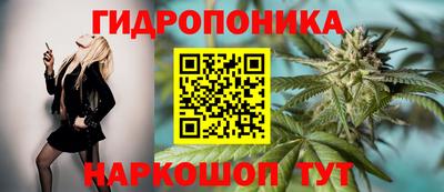 крисы Туймазы