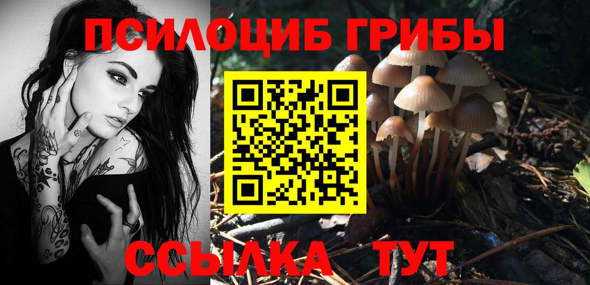 Костомукша  Галлюциногенные грибы ЛСД  Вход с VPN  Галлюциногенные грибы GOLDEN TEACHER 